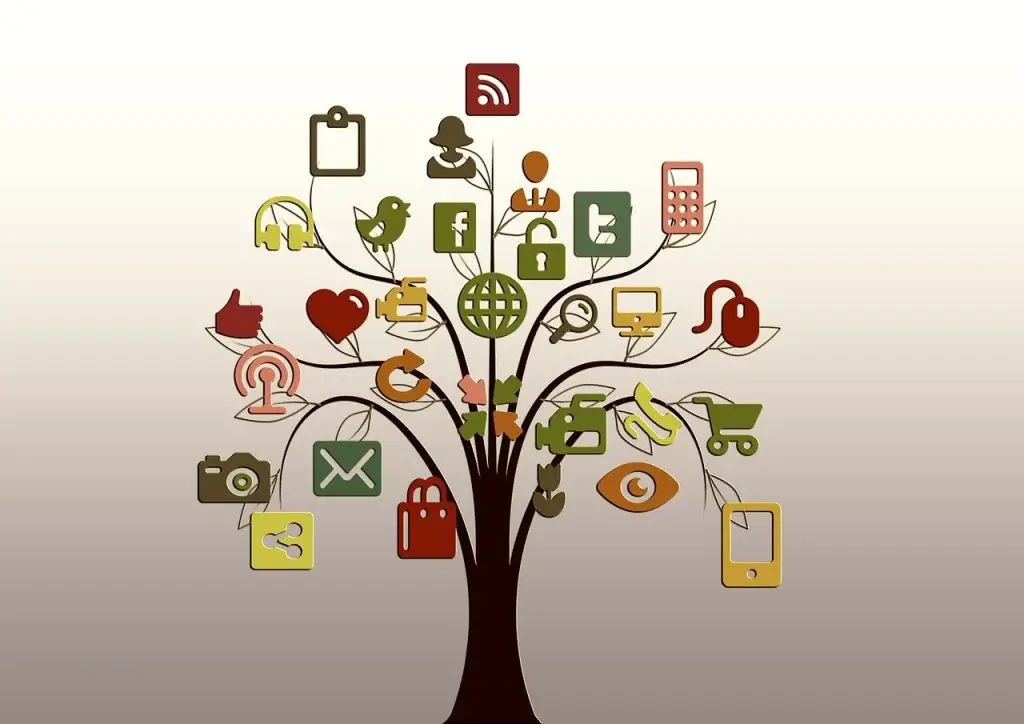arbre representant tous les reseaux disponible pour la création d'un site WordPress à Lavaur ou dans le Tarn
