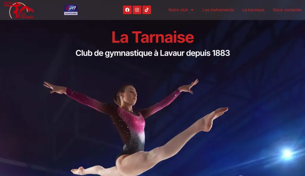 Exemple du site La tarnaise WordPress moderne conçu par N3L WEB